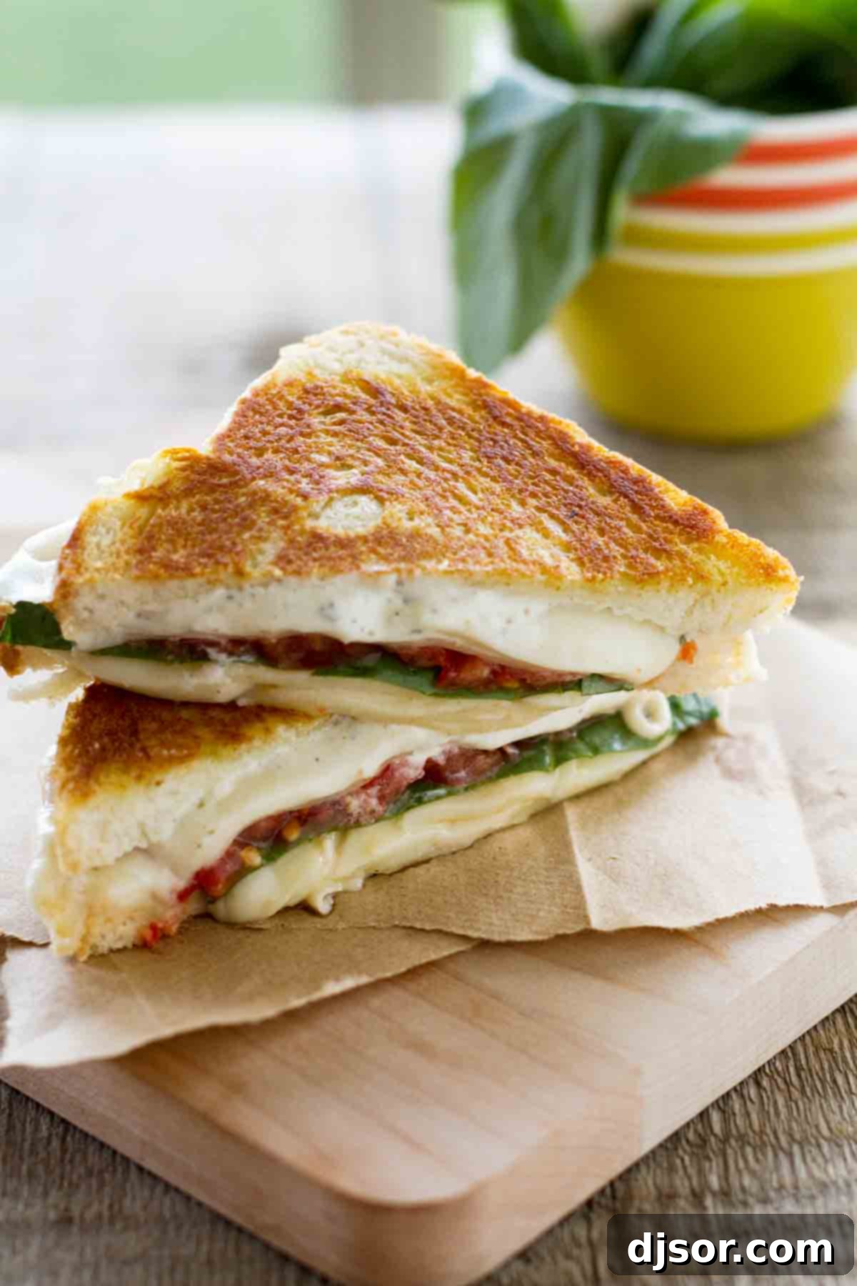 Three Cheese Grilled Cheese with Tomato: A Gourmet Delight Delicious sliced three cheese grilled cheese sandwich with fresh tomatoes and basil leaves