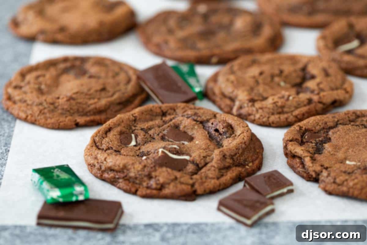 Mint Chocolate Delight 2 Delicious chocolate mint cookies filled with chocolate chips and chopped mint candies, perfect for dessert or a sweet treat.
