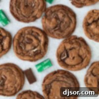 Mint Chocolate Delight 5 close up of baked chocolate mint cookies