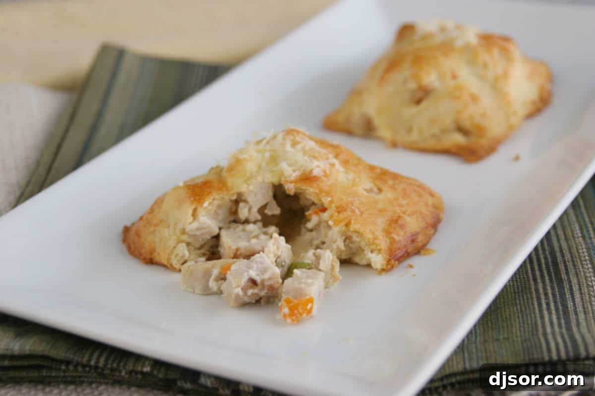 Rosemary-Infused Turkey Squares 2 Leftover turkey recipe