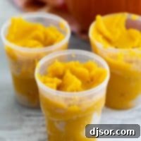 Homemade Pumpkin Puree in containers, ready for storage or use
