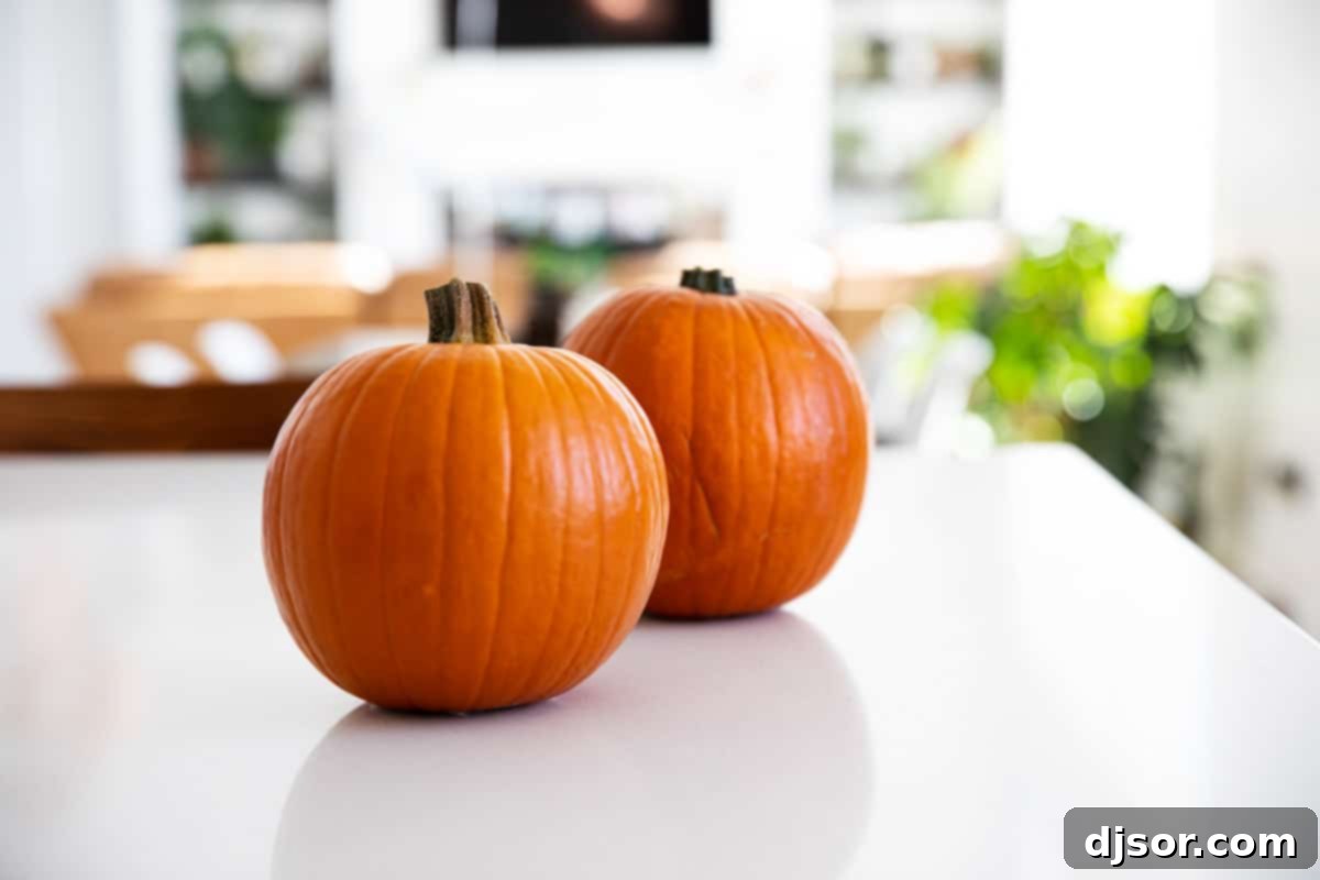 Selection of sugar pumpkins on a kitchen counter, ready for processing into puree