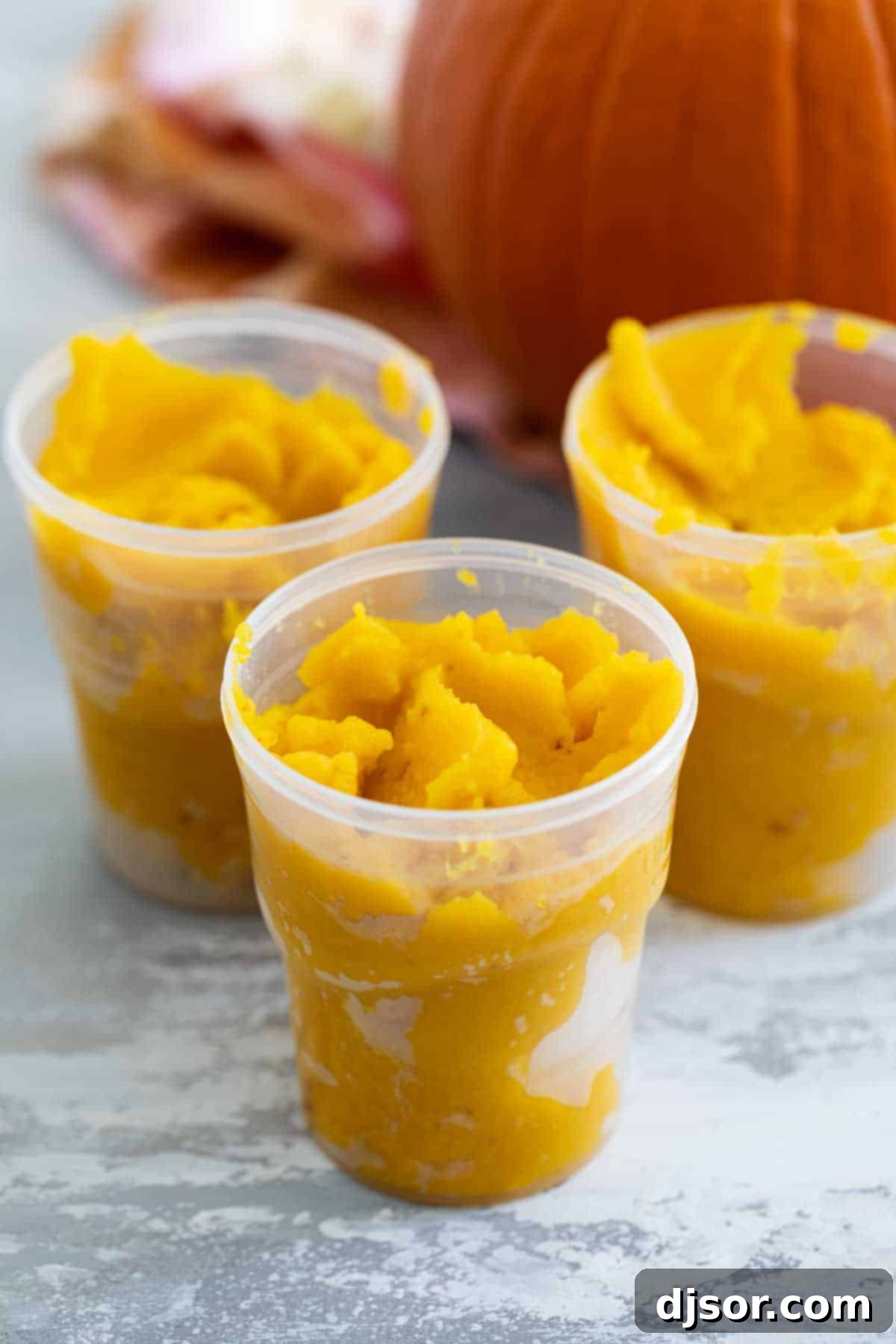 Homemade Pumpkin Puree stored in freezer-safe containers