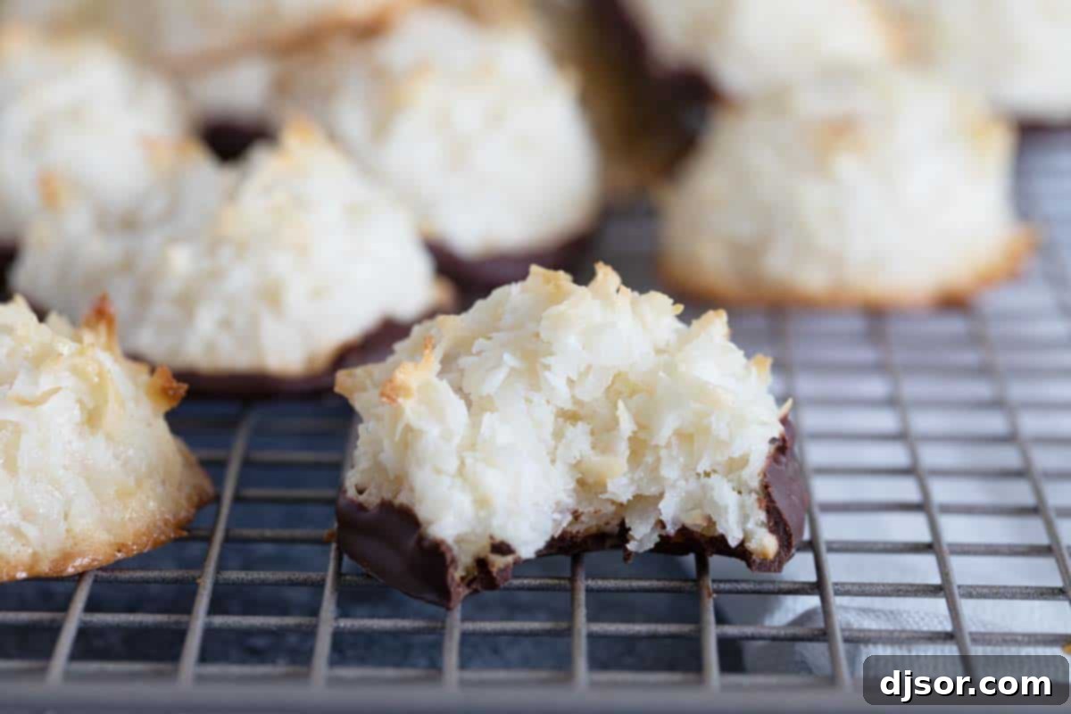 Enjoying a Chocolate Coconut Macaroon A chocolate-dipped coconut macaroon with a bite taken out, revealing its wonderfully chewy interior.