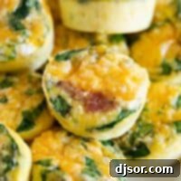 Breakfast Egg Bites 2 Egg Muffins with spinach, ham, and cheese