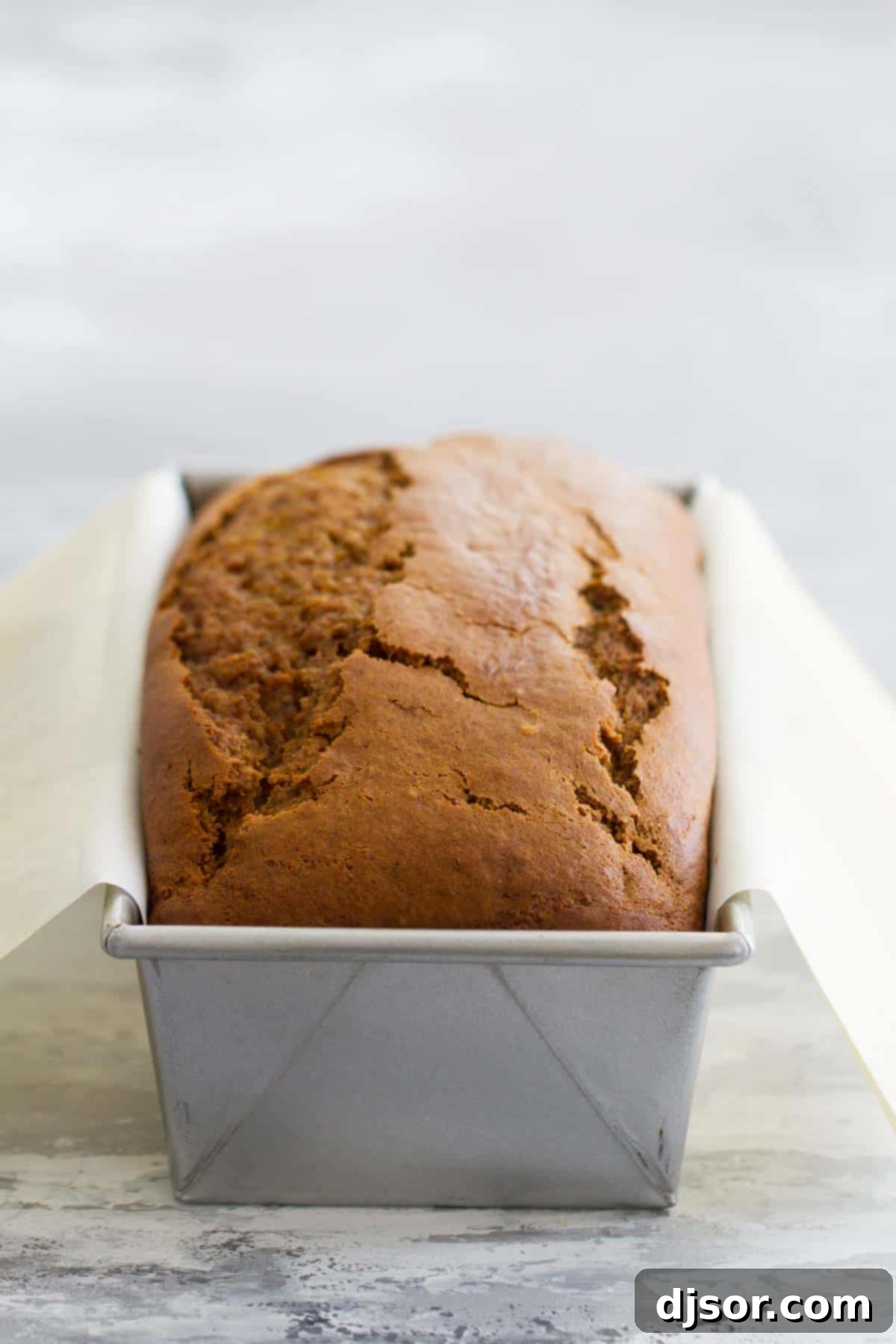 Loaf of homemade Cream Cheese Pumpkin Bread in a loaf pan, cooling.