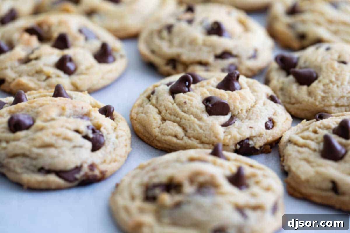 Super soft chocolate chip pudding cookies