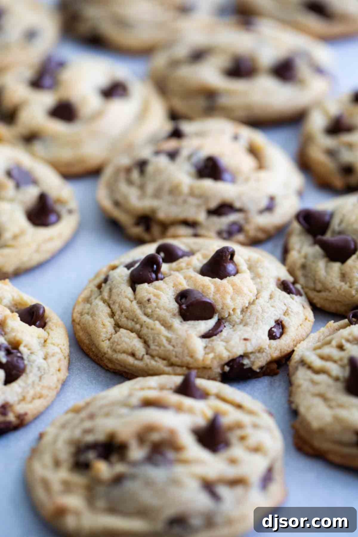 Chocolate Chip Pudding Cookies
