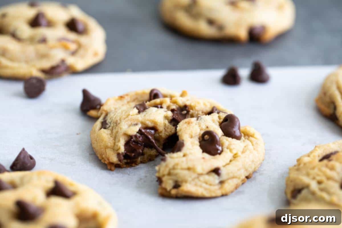Gooey chocolate chip pudding cookies
