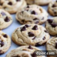 Chocolate Chip Pudding Cookies