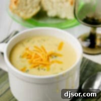 Golden Cheesy Vegetable Chowder 3 Bowl of cheesy vegetable chowder topped with shredded cheddar cheese.