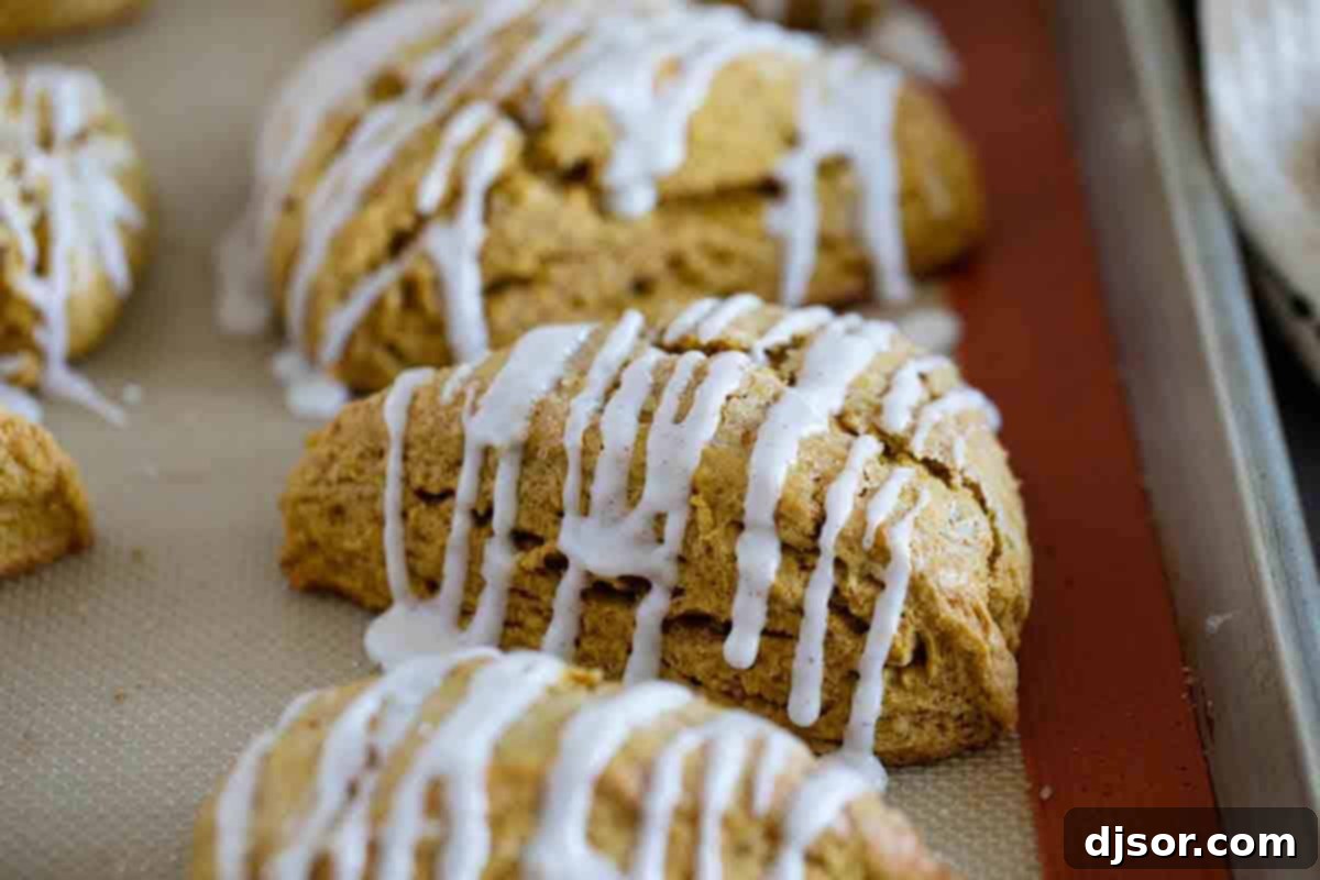 Perfect for breakfast or as an afternoon snack, these Pumpkin Scones are tender and full of fall flavor. They are perfectly light, fluffy, and moist. Delicate pumpkin scones adorned with a sweet icing, arranged on a baking sheet, ready to be enjoyed.