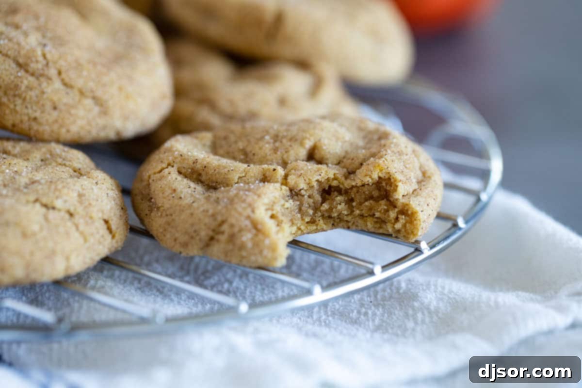 Pumpkin snickerdoodle with a bite taken from it.