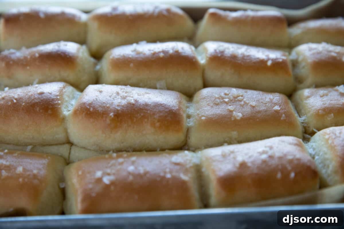 A baking pan filled with rows of perfectly golden Parker House Rolls, fresh from the oven.