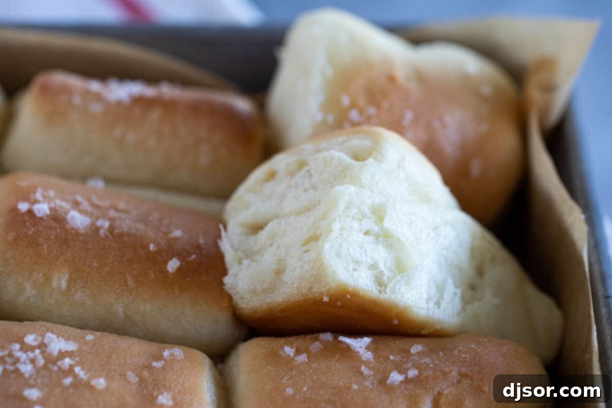Close-up showing the soft, airy texture of a Parker House Roll.