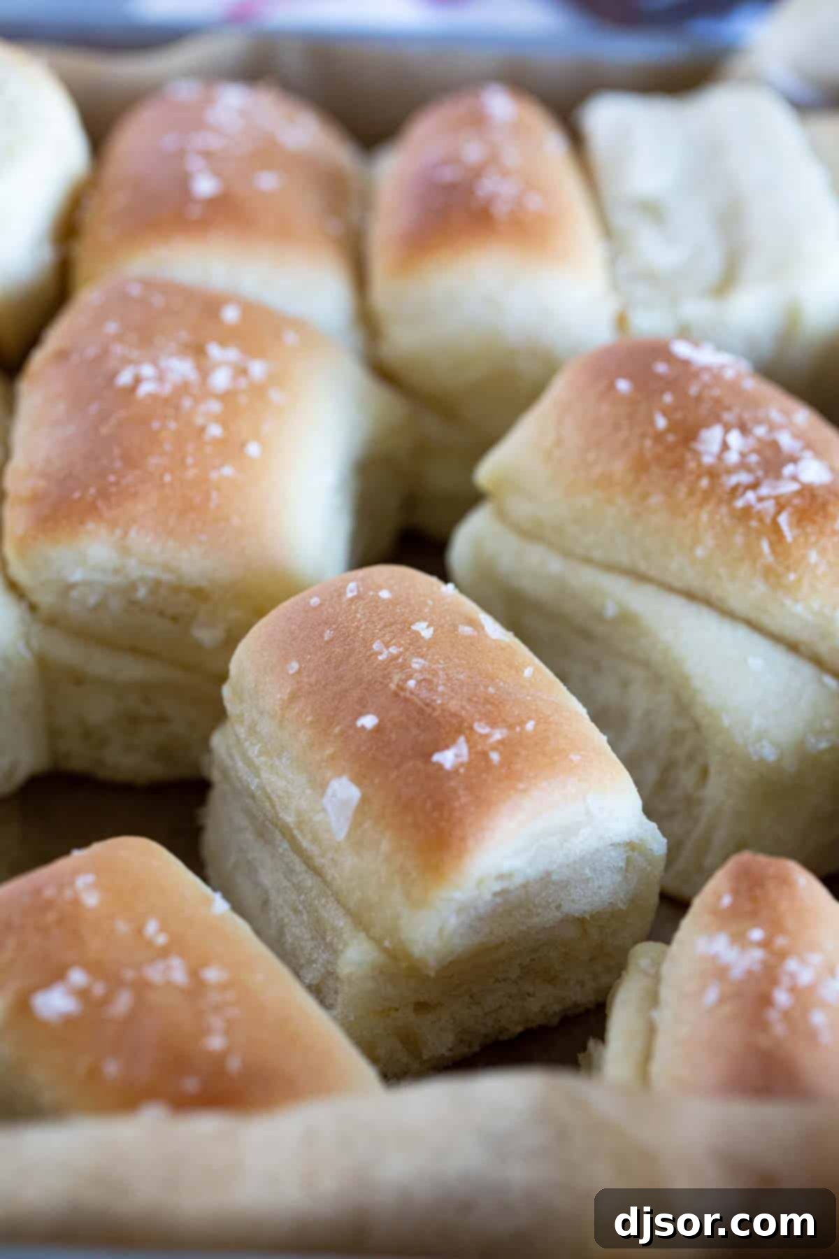 Close-up of baked Parker House Rolls generously topped with finishing salt, ready to be enjoyed.