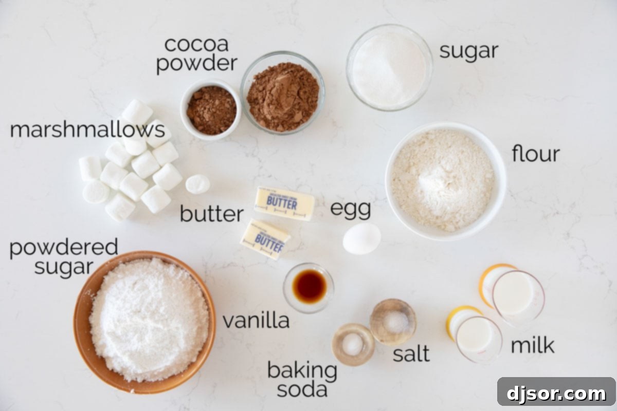 Assortment of fresh ingredients laid out to make chocolate marshmallow cookies.