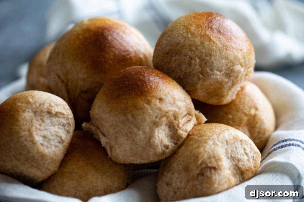 These Whole Wheat Rolls are a perfect dinner roll made with whole wheat flour and bread flour. A bit of honey brings in some sweetness, while evaporated milk brings richness to the rolls. A rustic basket overflowing with freshly baked, golden-brown whole wheat dinner rolls, highlighting their soft texture.