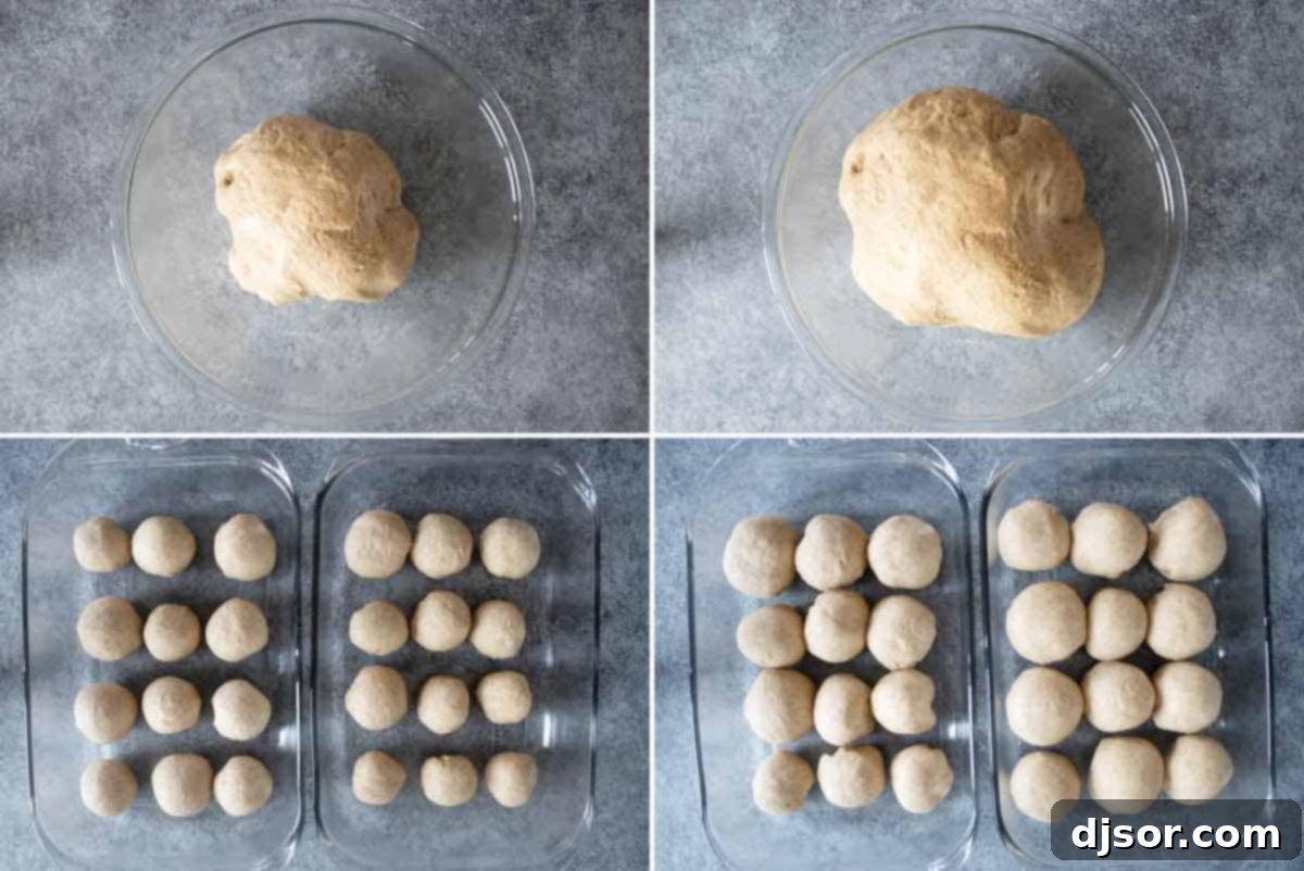 These Whole Wheat Rolls are a perfect dinner roll made with whole wheat flour and bread flour. A bit of honey brings in some sweetness, while evaporated milk brings richness to the rolls. A large bowl of smooth whole wheat dough, perfectly risen and doubled in size, ready for shaping.