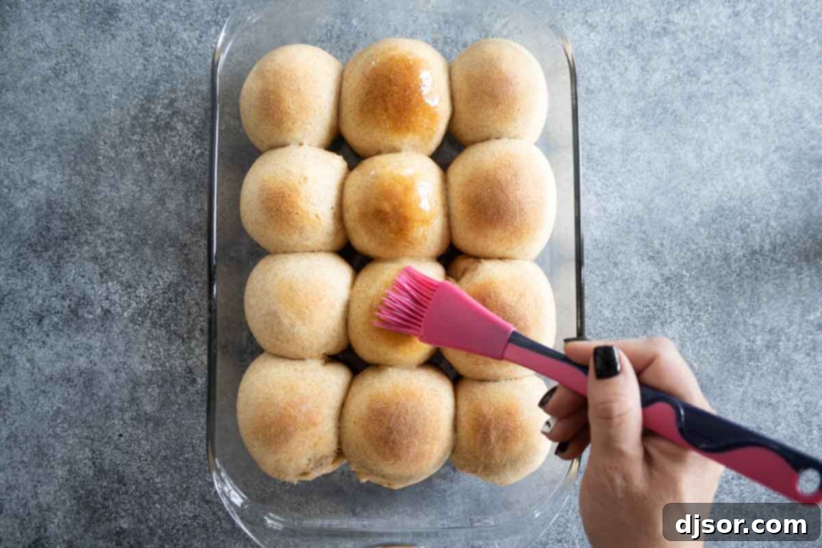 These Whole Wheat Rolls are a perfect dinner roll made with whole wheat flour and bread flour. A bit of honey brings in some sweetness, while evaporated milk brings richness to the rolls. A hand brushing melted butter over the tops of freshly baked whole wheat rolls still in the baking pan.