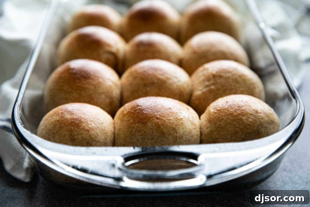 These Whole Wheat Rolls are a perfect dinner roll made with whole wheat flour and bread flour. A bit of honey brings in some sweetness, while evaporated milk brings richness to the rolls. A baking pan filled with golden-brown, freshly baked whole wheat rolls, ready to be served.
