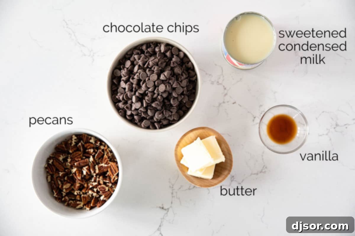 Ingredients for Easy Fudge laid out on a table, including chocolate chips, sweetened condensed milk, butter, vanilla extract, and pecans.