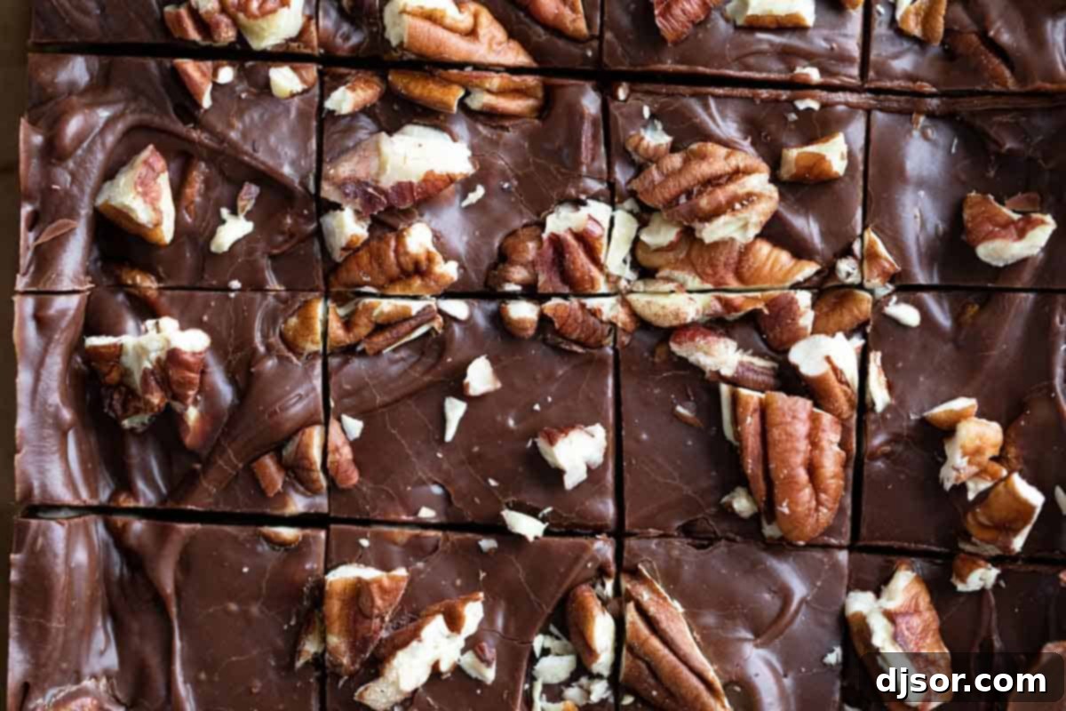 Close up of chocolate fudge with pecans, highlighting the rich texture and topping.