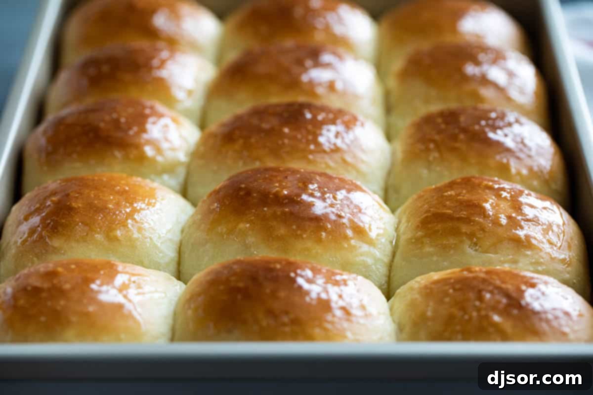 Golden brown potato rolls in a baking dish, freshly baked and ready to serve.