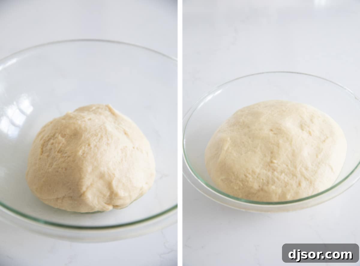 Smooth potato roll dough rising in a greased bowl, covered with plastic wrap.