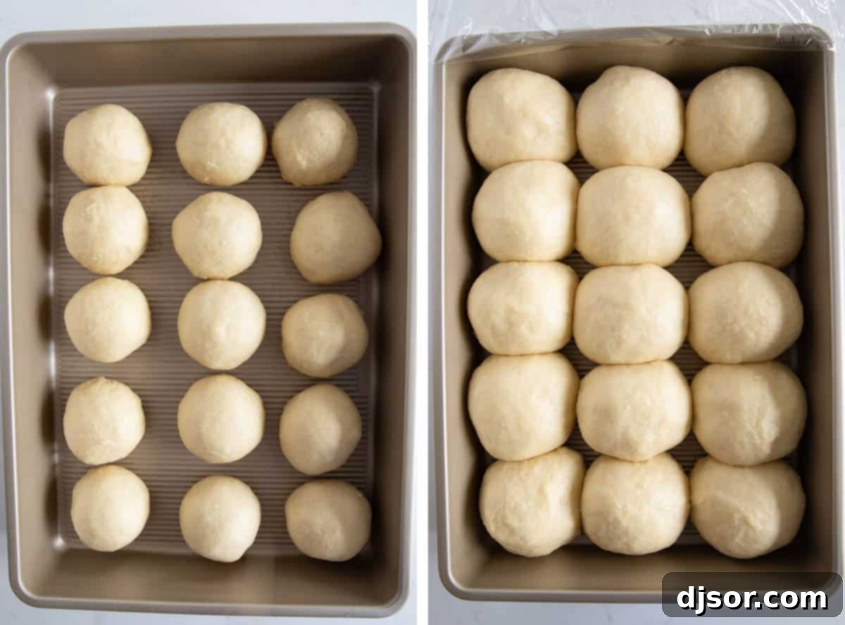 Unbaked potato rolls neatly arranged in a baking pan, undergoing their second rise.