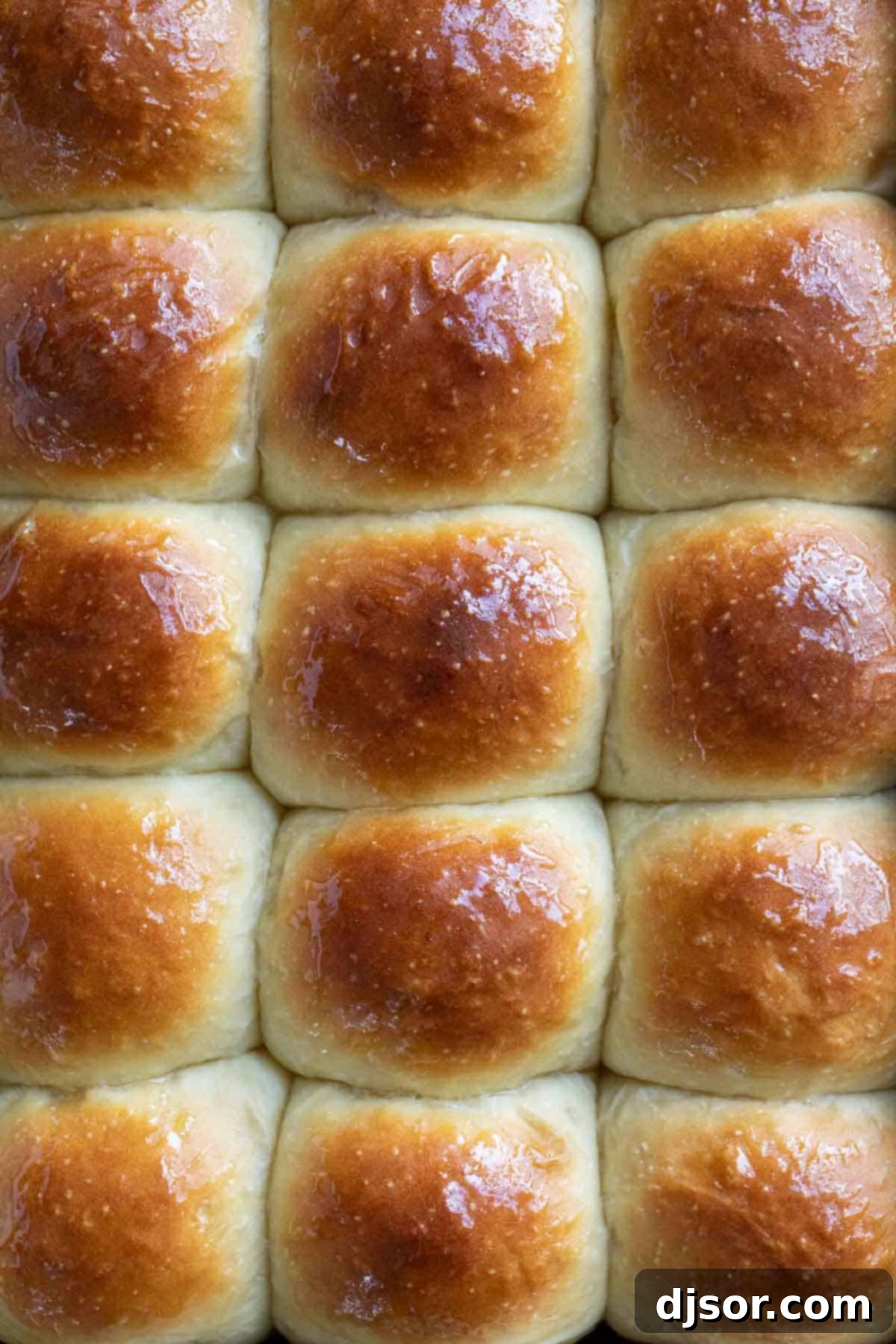 A pan full of perfectly browned, fluffy potato rolls, fresh out of the oven.