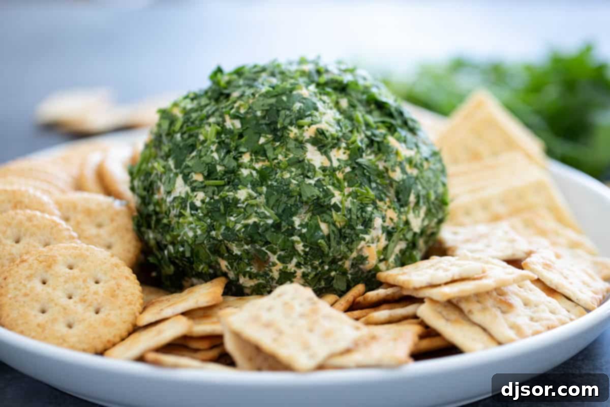 Fiesta Cheese Ball 2 A perfectly shaped Southwest Cheese Ball, generously coated in fresh cilantro, served on a platter with an assortment of crispy crackers.