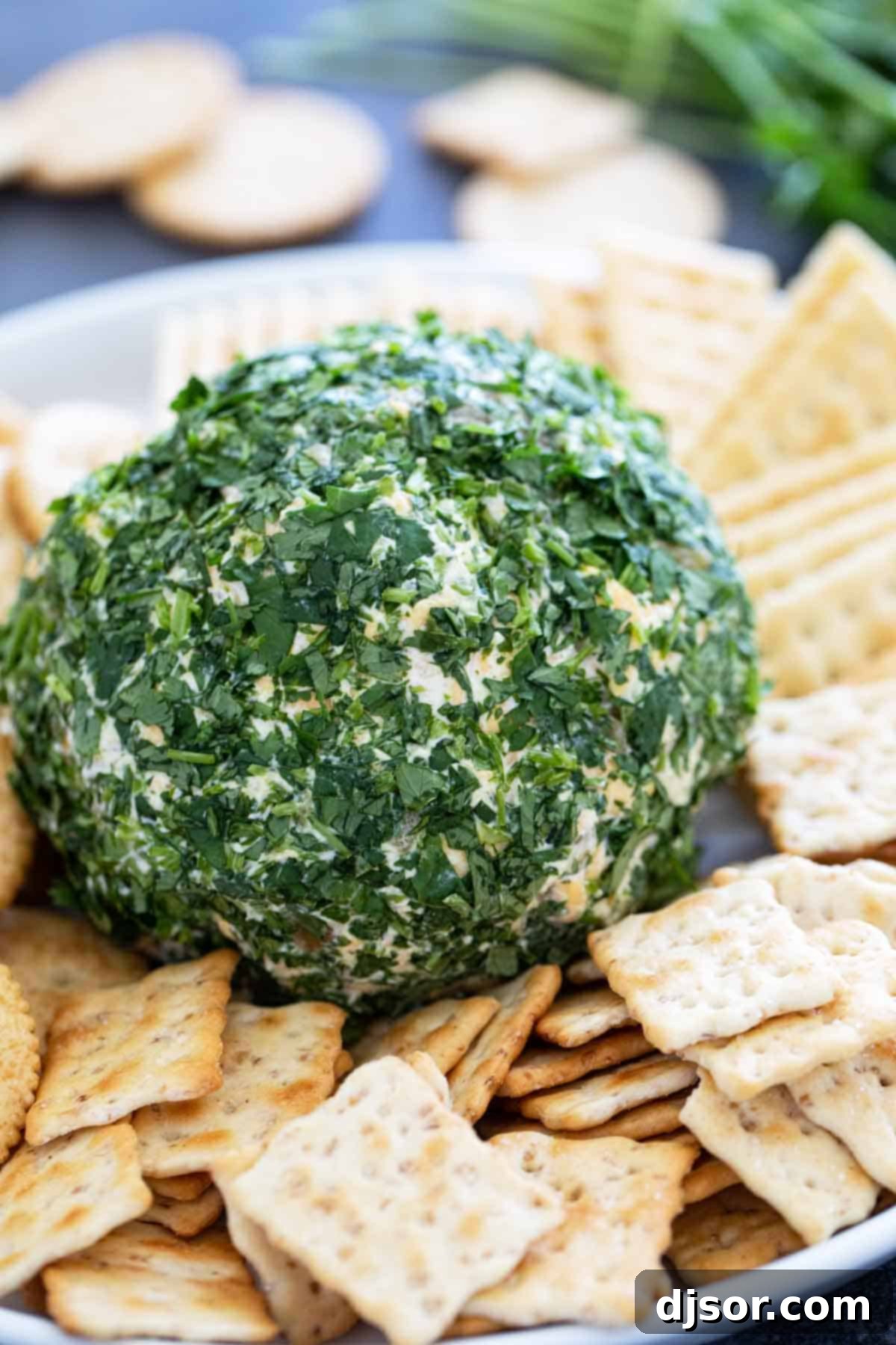 Fiesta Cheese Ball 5 A vibrant Southwest Cheese Ball, beautifully coated in fresh cilantro, surrounded by a variety of crackers, ready to be enjoyed as an appetizer.