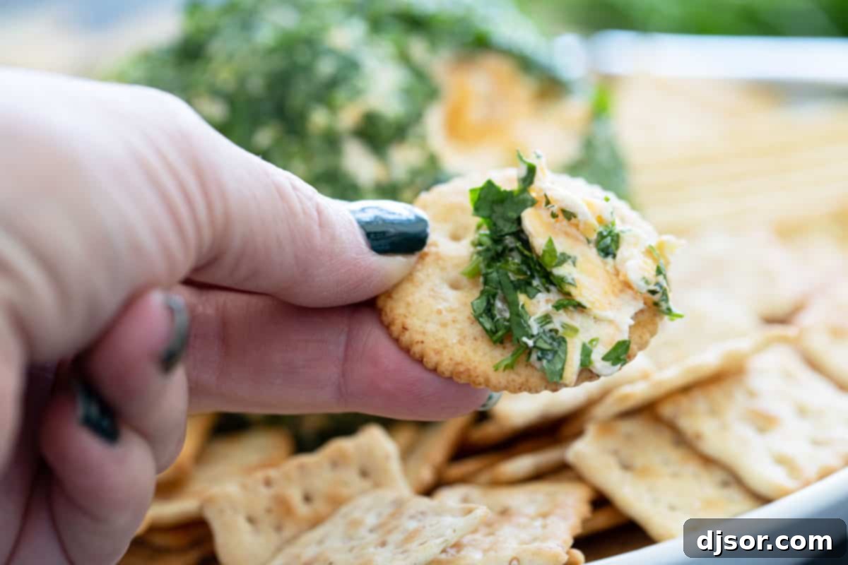 Fiesta Cheese Ball 6 A single serving of Southwest Cheese Ball on a cracker, showing the creamy texture and cilantro coating.
