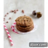 Cinnamon Spice Cookies | A delicious and festive treat for the holidays.