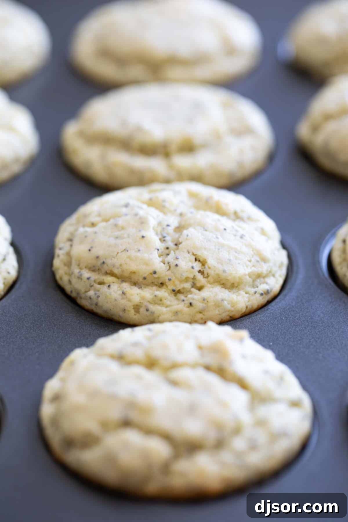Lemon Poppy Seed Muffins cooling in a baking tin, showcasing their golden-brown tops and perfect rise.