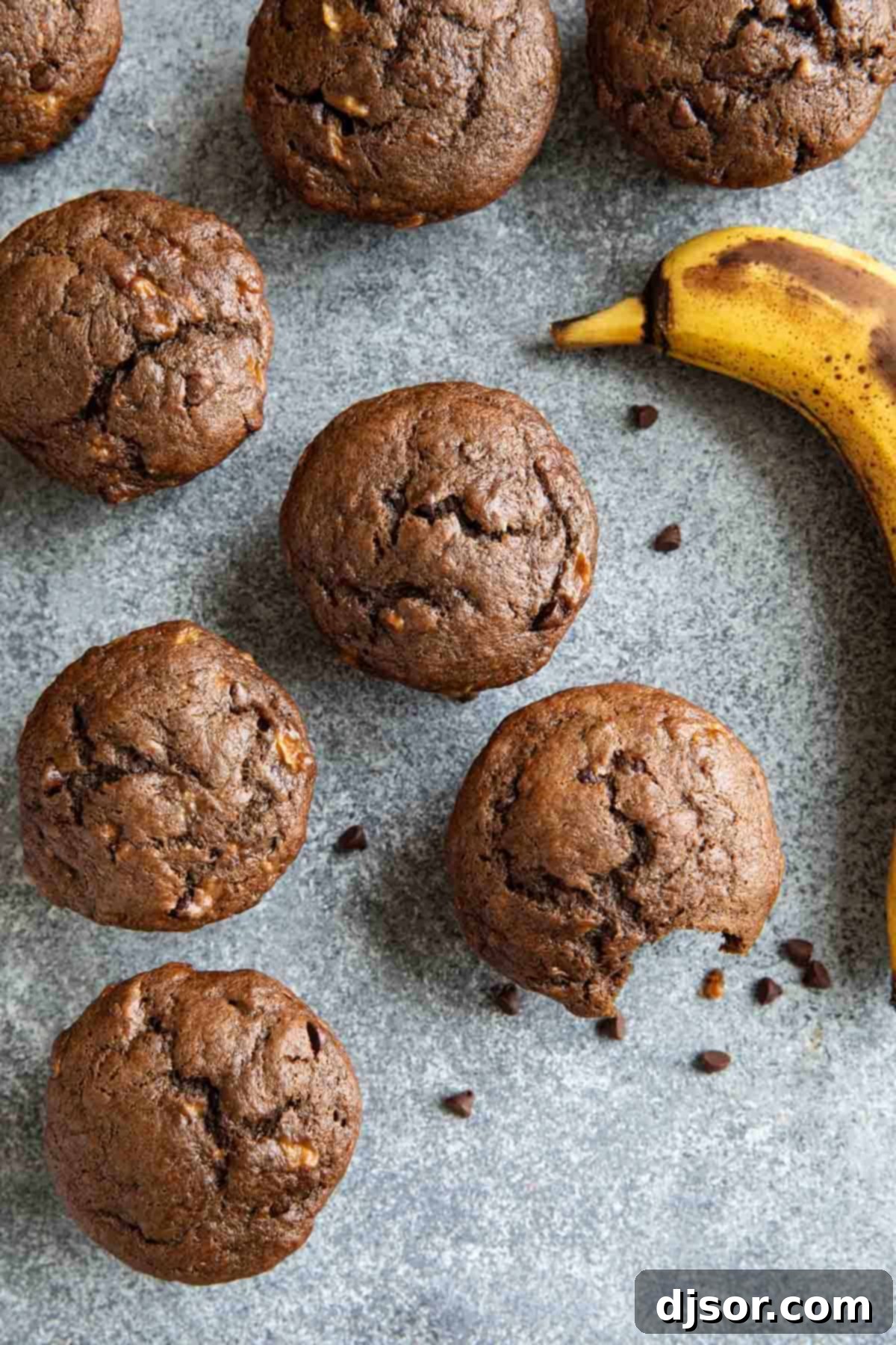 Two freshly baked Chocolate Banana Muffins, one with a bite taken, highlighting the mini chocolate chips.