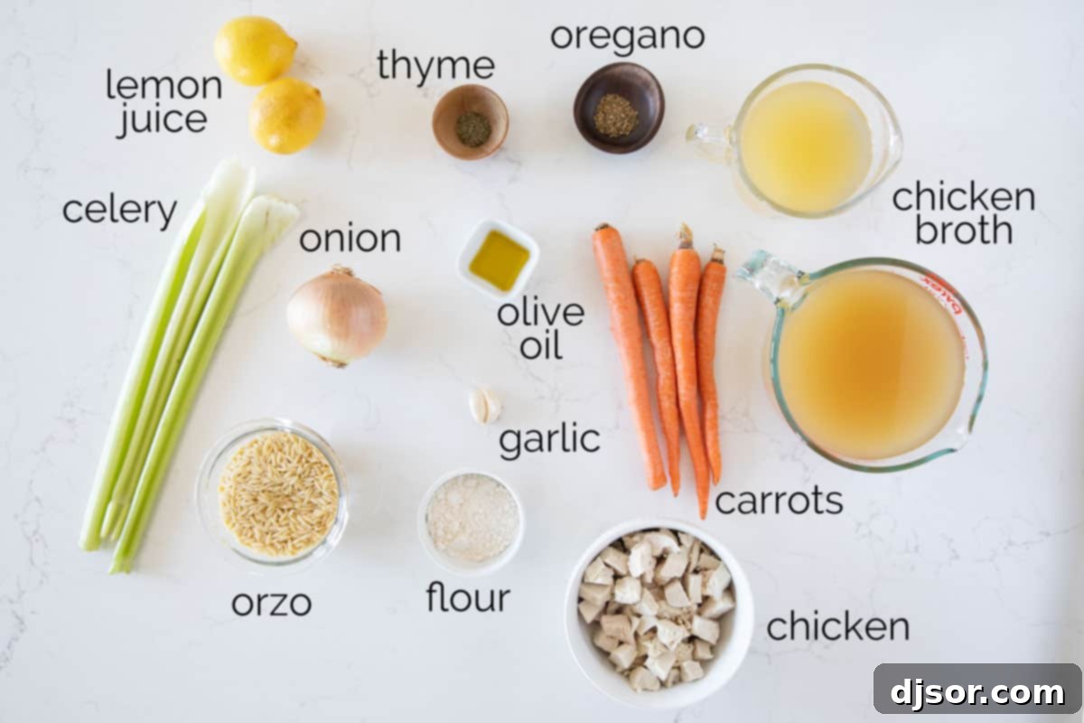 Essential ingredients for your next batch of Lemon Chicken Orzo Soup. Fresh ingredients laid out on a kitchen counter for making Lemon Chicken Orzo Soup, including lemons, chicken, vegetables, and orzo pasta.