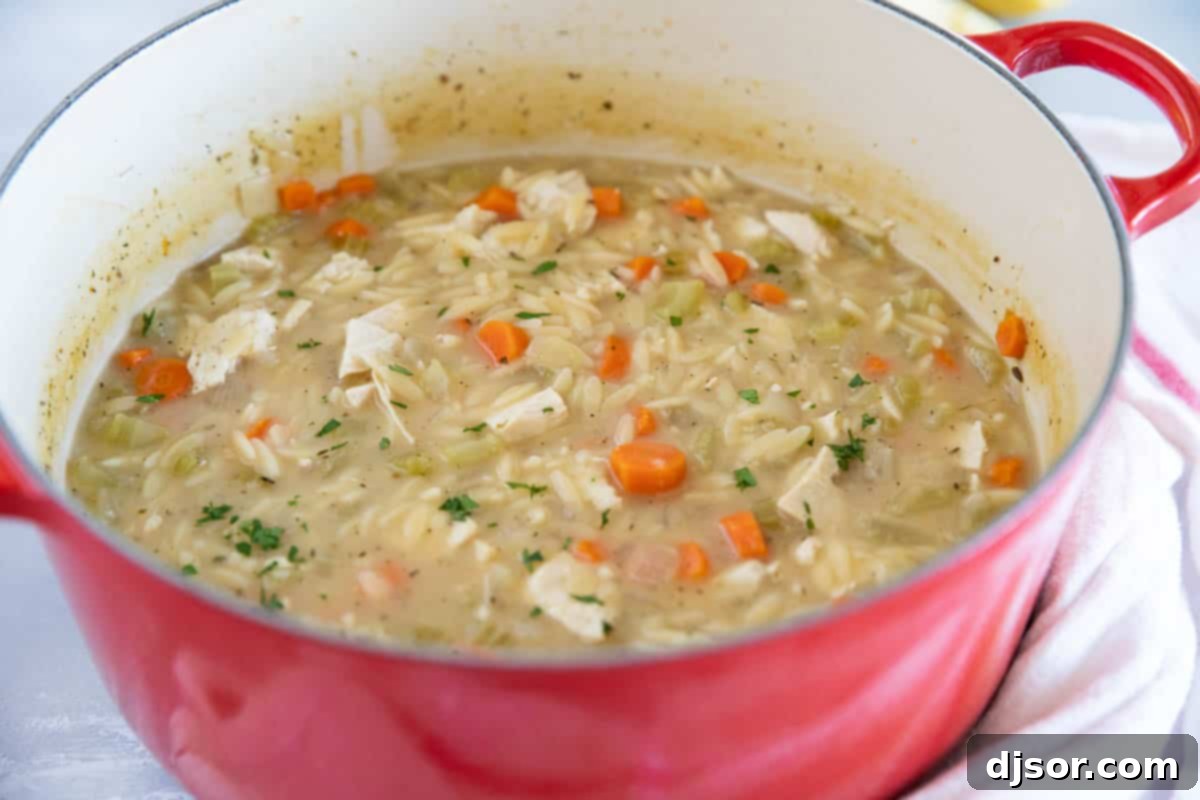 Hearty Lemon Chicken Orzo Soup simmering in a Dutch oven. A large Dutch oven filled with freshly cooked Lemon Chicken Orzo Soup, ready to be served.