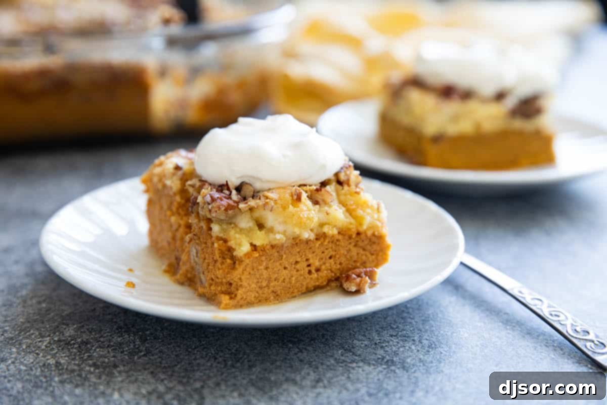 Golden Pumpkin Crumble Cake 2 A slice of Pumpkin Dump Cake on a white plate, elegantly topped with a generous dollop of fresh whipped cream, showcasing its rich pumpkin layer and golden crumb topping.