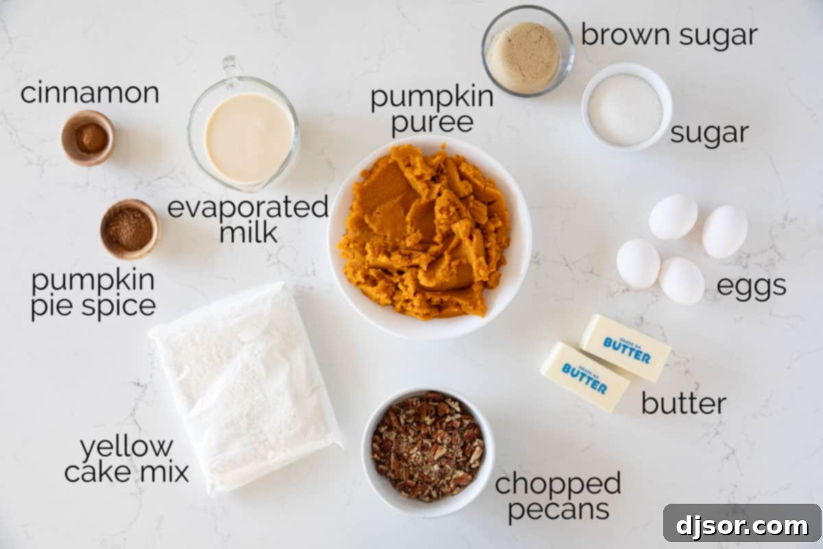 Golden Pumpkin Crumble Cake 3 A collection of fresh ingredients carefully arranged, essential for baking a delicious Pumpkin Dump Cake, highlighting the key components like pumpkin puree, evaporated milk, cake mix, and spices.