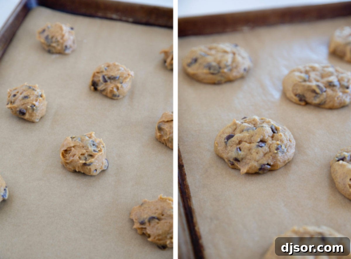 Harvest Pumpkin Chocolate Chip Delights 7 Pumpkin Chocolate Chip cookie dough on a baking tray and baked cookies on the baking tray.