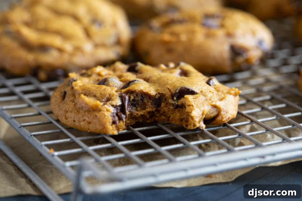 Harvest Pumpkin Chocolate Chip Delights 9 Pumpkin chocolate chip cookie with a bite taken from it on a cooling rack.