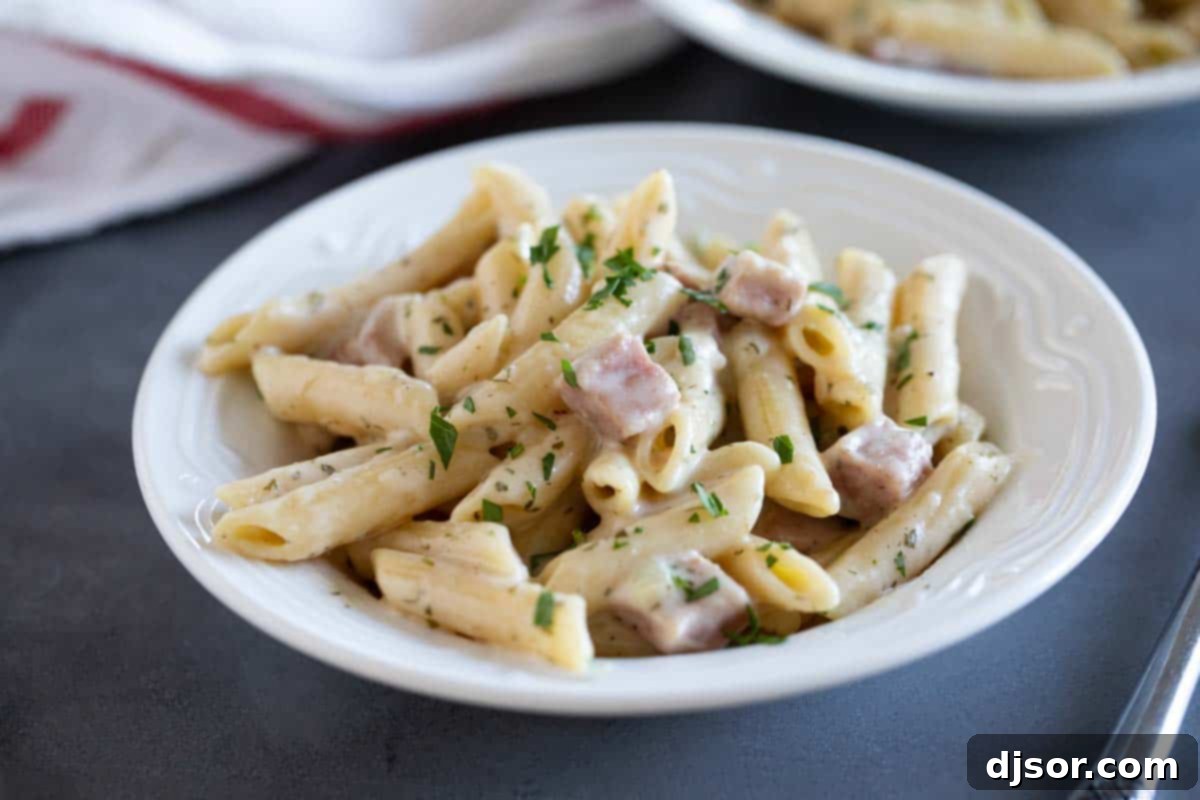 One-Pot Ham and Cheese Pasta with Zesty Ranch Flavor A shallow bowl brimming with creamy ham and cheese pasta, infused with ranch flavor