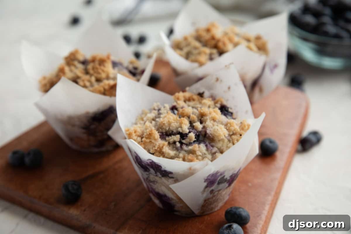 Three perfectly baked blueberry muffins topped with streusel and fresh blueberries.