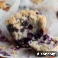 Blueberry muffin torn in half to show interior texture of the muffin.