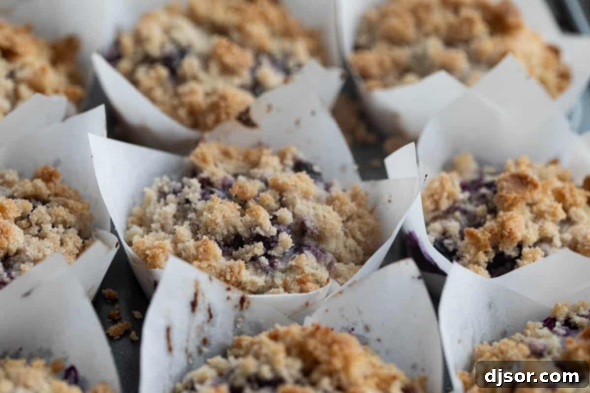 Blueberry muffins with crumb topping and extra blueberries ready for baking in a muffin tin.