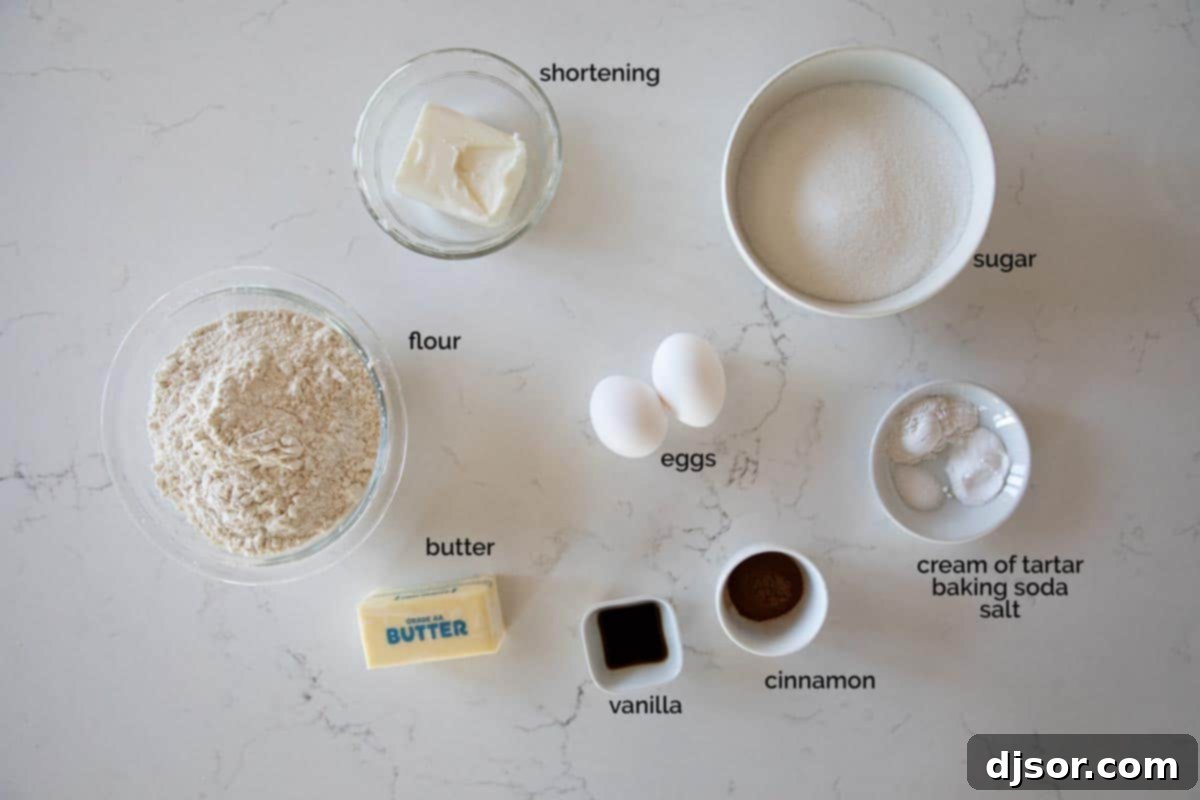 Perfectly soft, this is the best Snickerdoodle Recipe! This popular cinnamon sugar cookie recipe holds up for several days and requires no chilling time. You can have a batch on the table in no time! A collection of fresh ingredients laid out on a kitchen counter, essential for making a delicious Snickerdoodle recipe.