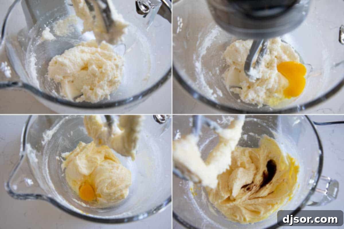 Perfectly soft, this is the best Snickerdoodle Recipe! This popular cinnamon sugar cookie recipe holds up for several days and requires no chilling time. You can have a batch on the table in no time! A stand mixer in action, creaming together butter, sugar, and eggs for a Snickerdoodle recipe, showing the mixture becoming light and fluffy.