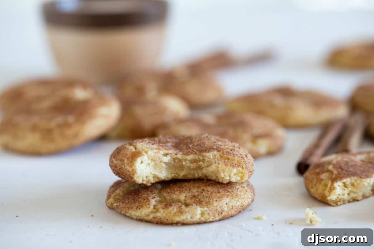 Perfectly soft, this is the best Snickerdoodle Recipe! This popular cinnamon sugar cookie recipe holds up for several days and requires no chilling time. You can have a batch on the table in no time! A close-up shot of a Snickerdoodle cookie with a bite taken out of it, revealing its soft and chewy interior texture.